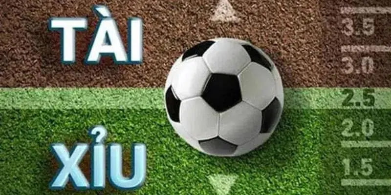 Kinh nghiệm soi kèo tài xỉu bóng đá